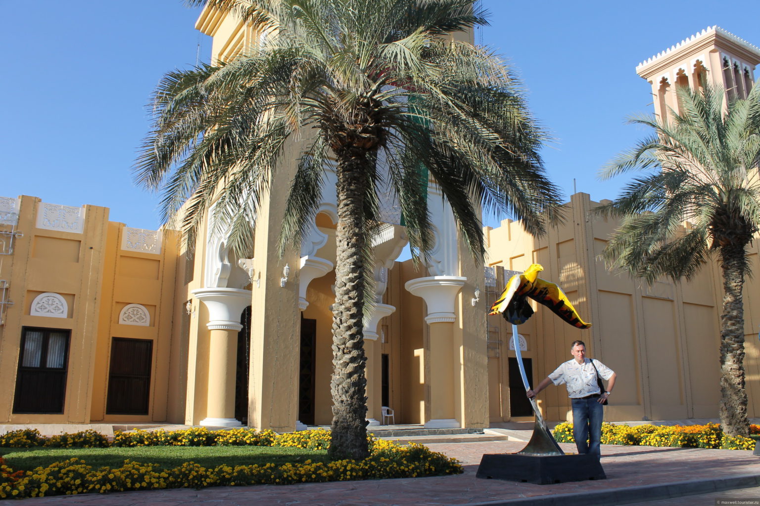 Соколиный центр